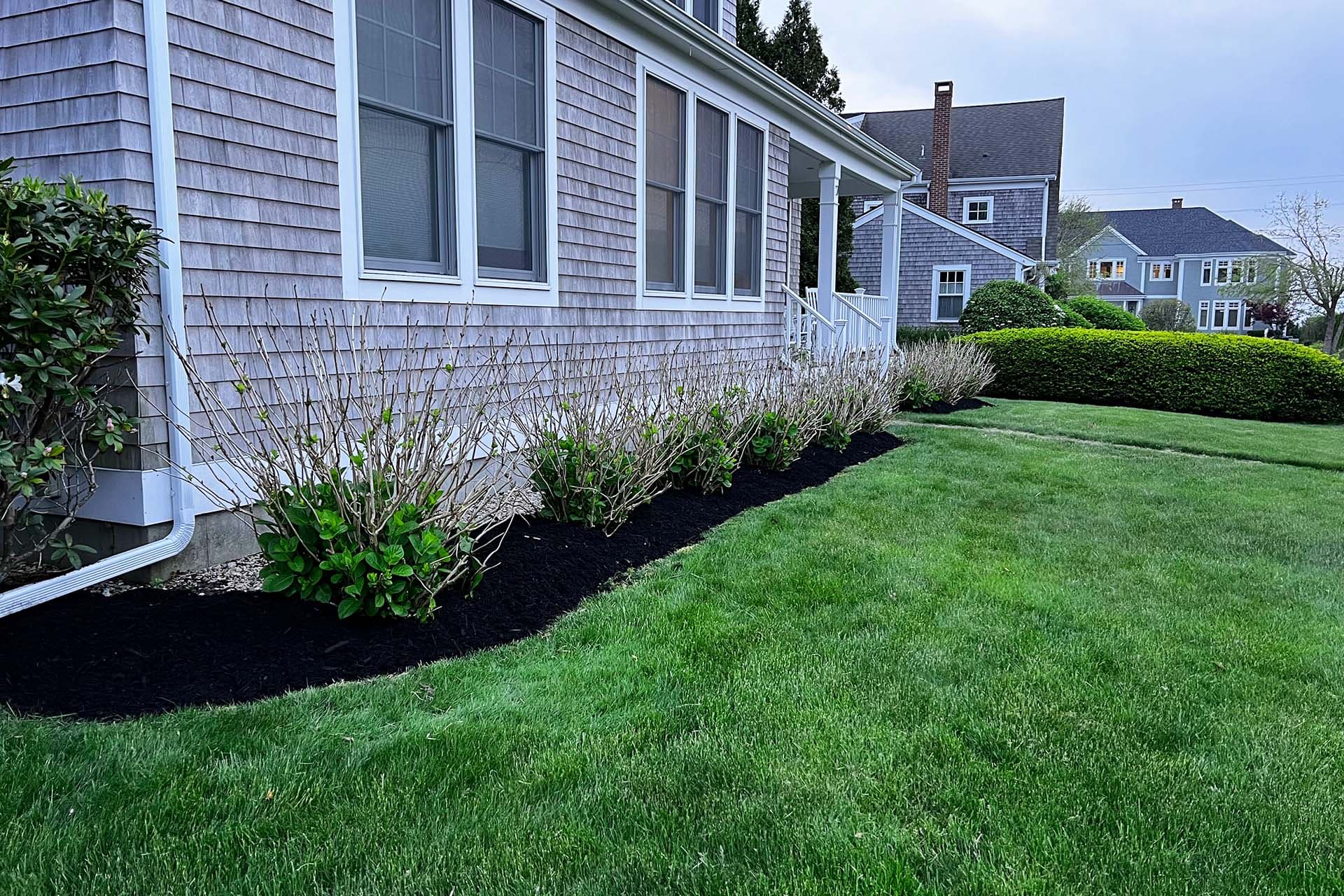 Mowed grass in front of house with lines and edging.