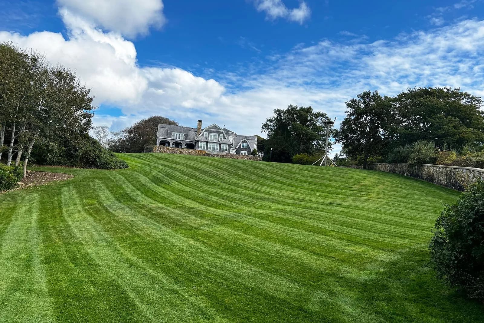 Large lawn with mowed lines and big house in the background