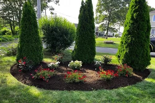 New garden with edging and a tree in the background with mowed grass