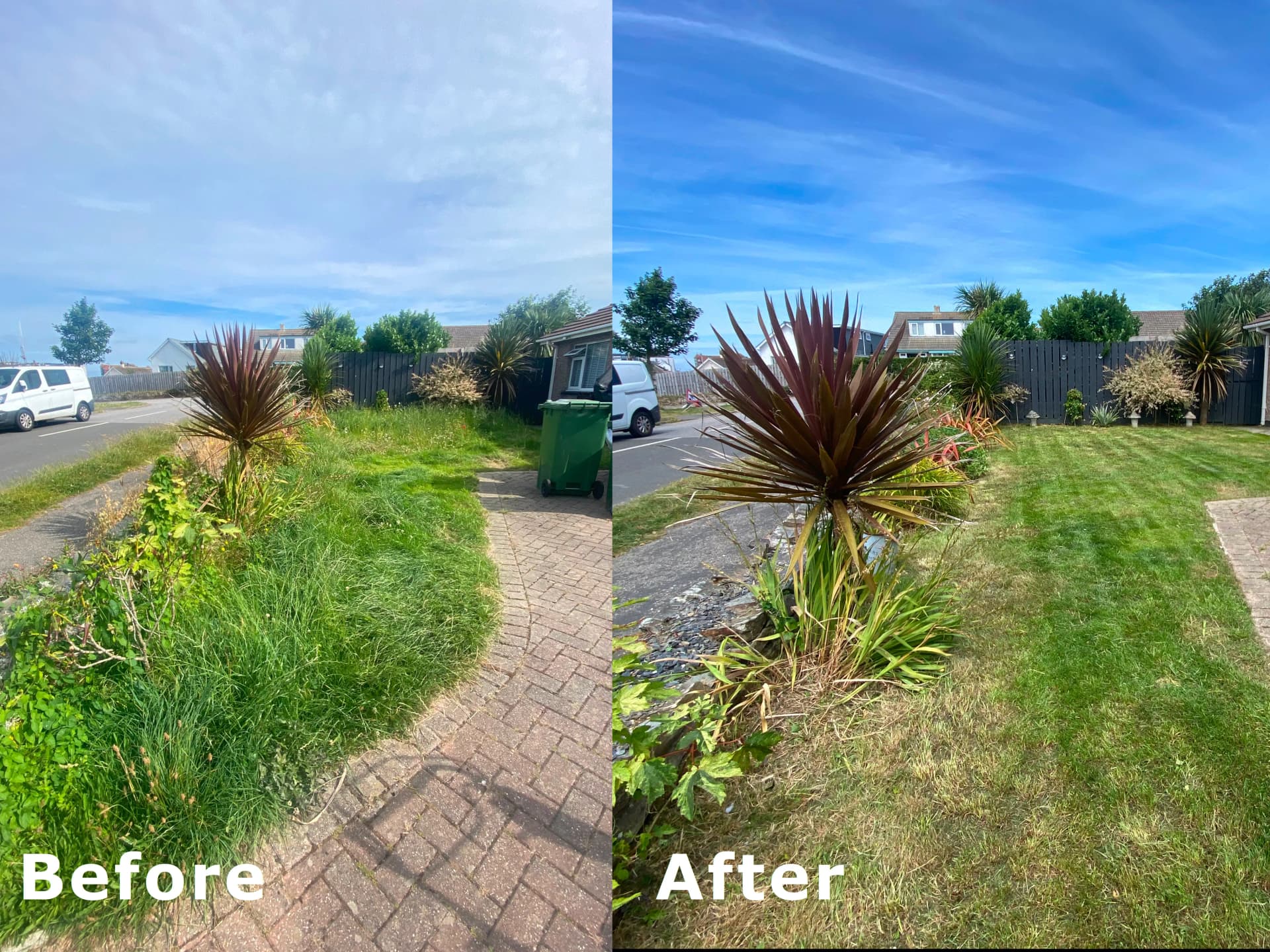 Freshly mown lawn with trimmed hedges in a private garden