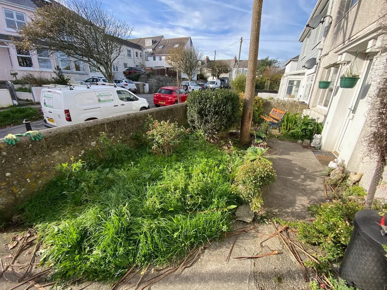 Overgrown garden before the transformation