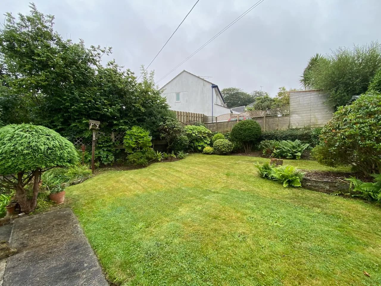 Well-kept garden with trimmed hedges and neat borders after maintenance