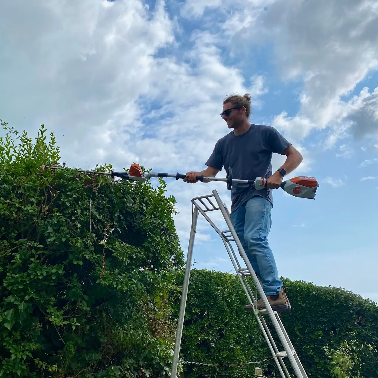 Levi Quilliam trimming a large hedge in Cornwall