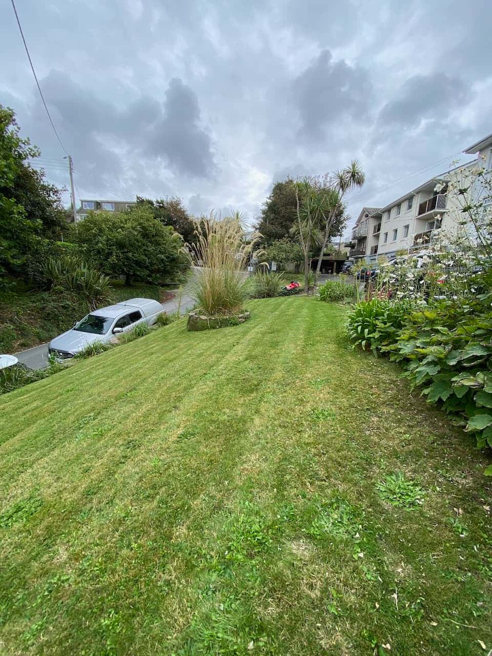 Fresh cut grass with lines and pampas grass